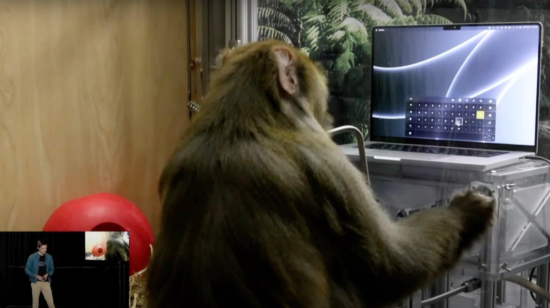 Interfaz Cerebro-Computadora